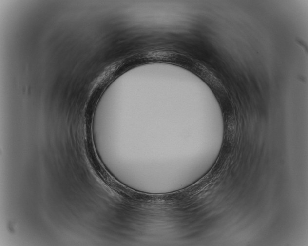 X0000098110734200804040801