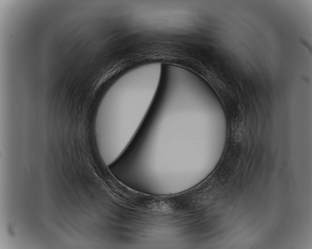 X0000098110735200804040801