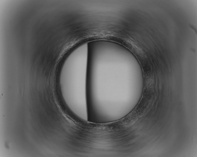 X0000098110736200804040801