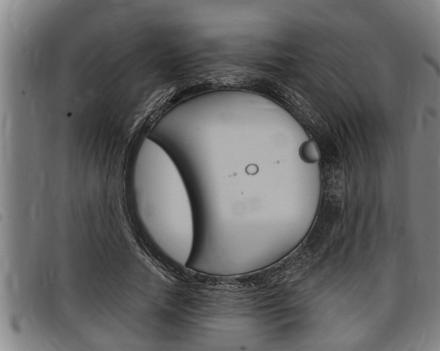 X0000098110738200804040801