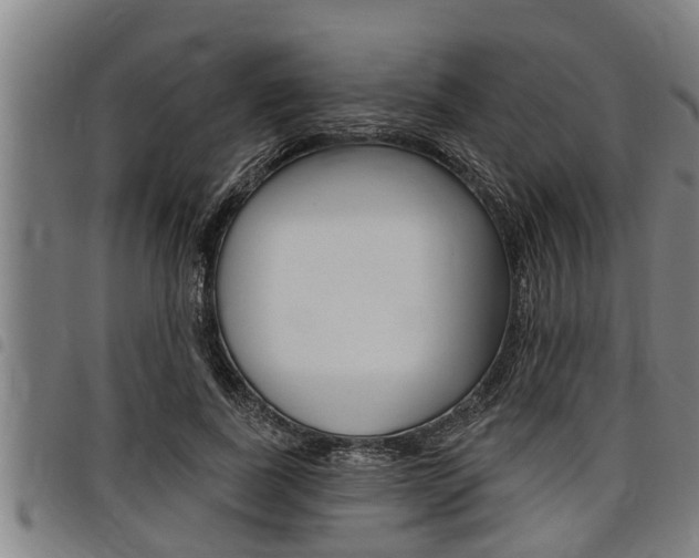 X0000098110739200804040801