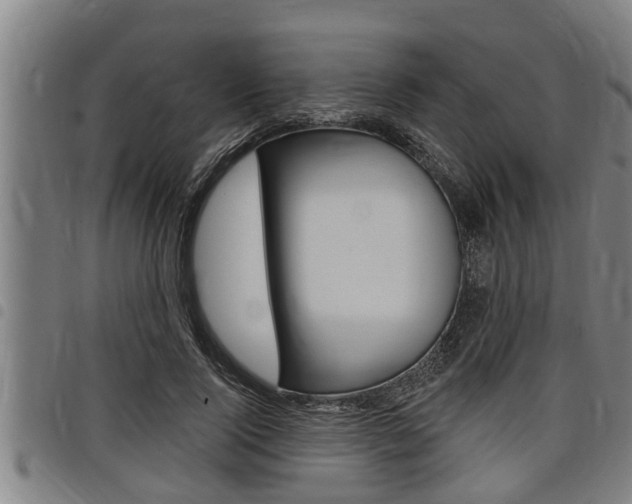 X0000098110740200804040801