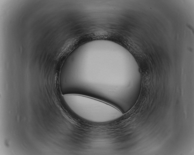 X0000098110742200804040801