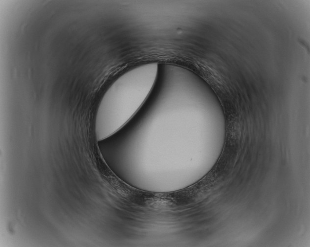 X0000098110743200804040801