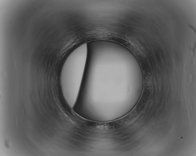 X0000098110744200804040801