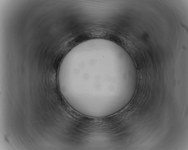 X0000098110745200804040801