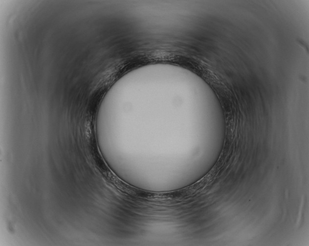 X0000098110746200804040801