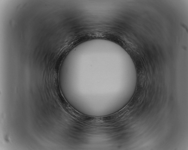 X0000098110747200804040801