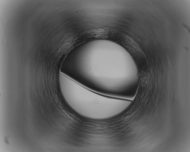 X0000098110748200804040801
