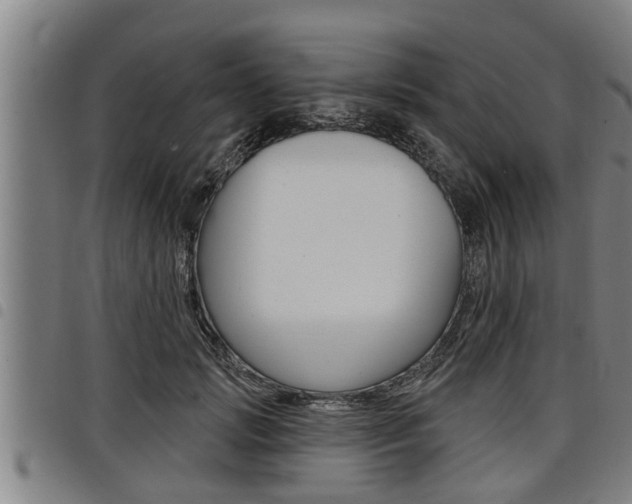 X0000098110749200804040801