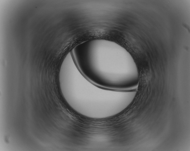 X0000098110750200804040801