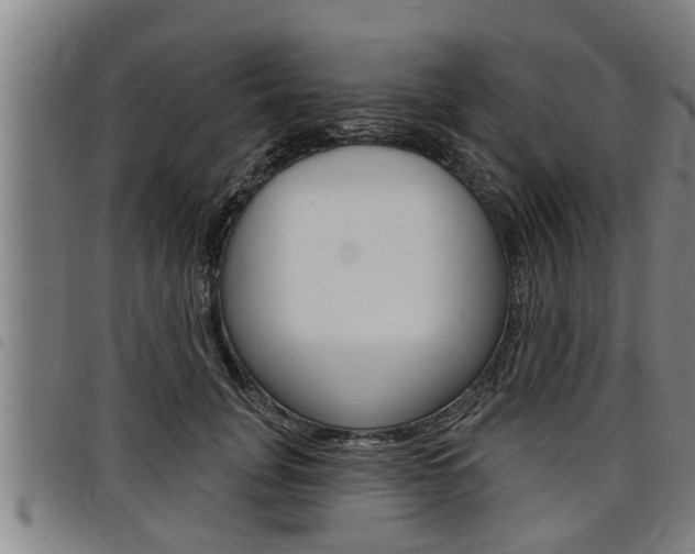 X0000098110751200804040801