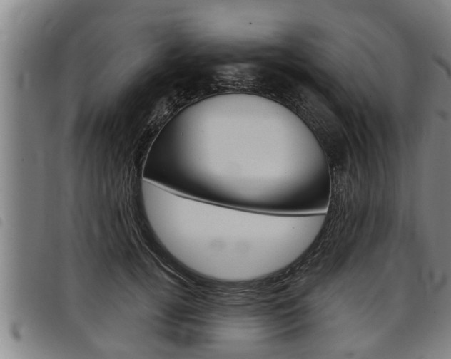 X0000098110752200804040801