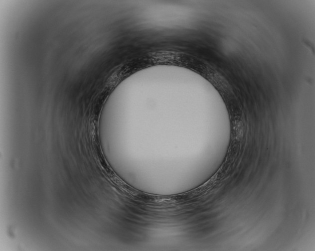 X0000098110753200804040801