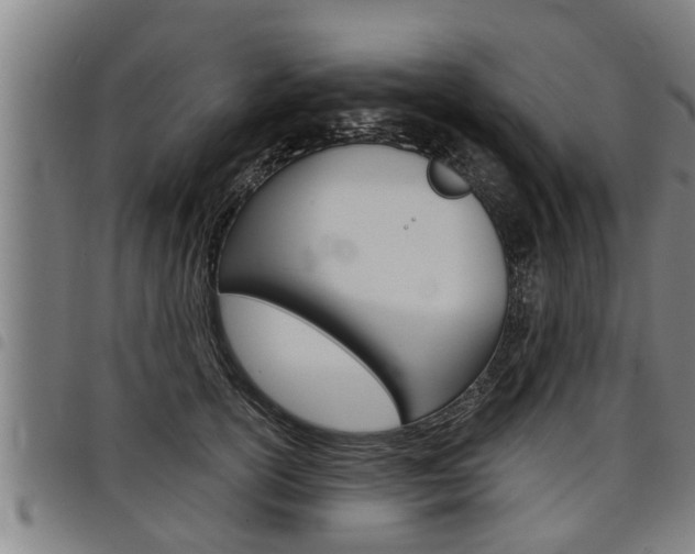X0000098110754200804040801