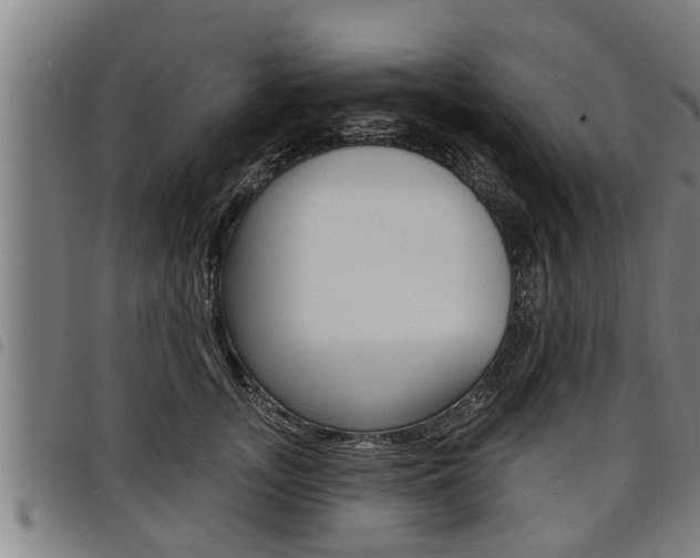X0000098110755200804040801