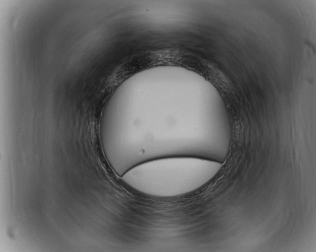 X0000098110757200804040801