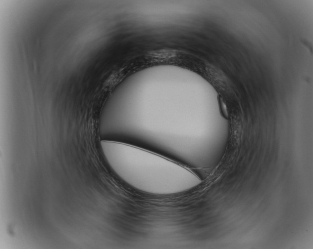 X0000098110758200804040801
