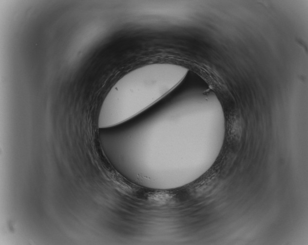 X0000098110759200804040801