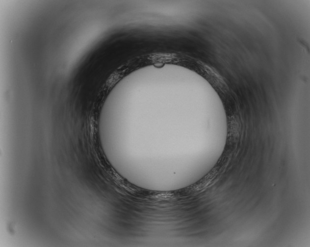 X0000098110761200804040801