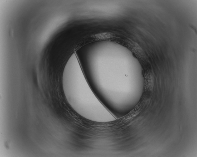 X0000098110762200804040801