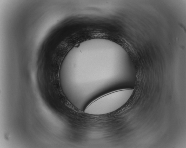 X0000098110763200804040801