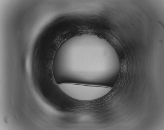 X0000098110764200804040801