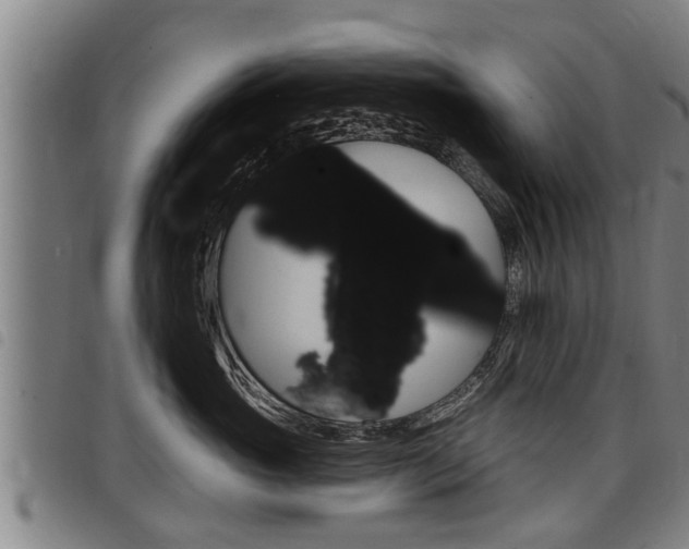 X0000098110765200804040801