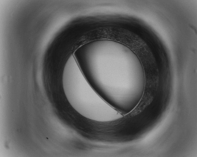 X0000098110766200804040801