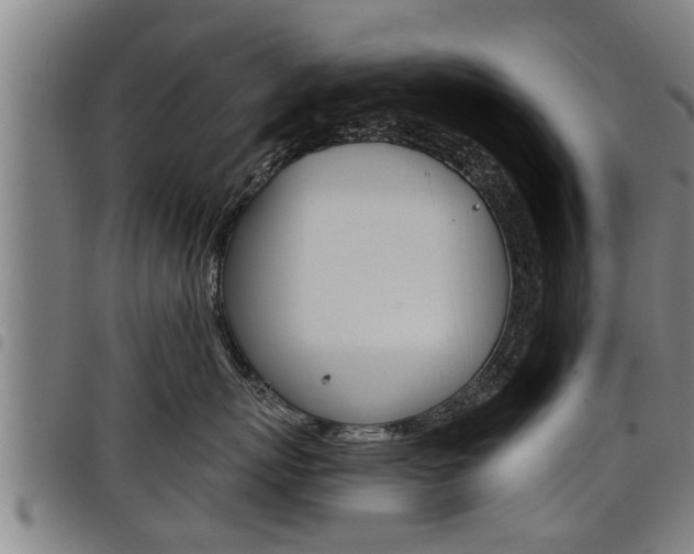 X0000098110767200804040801