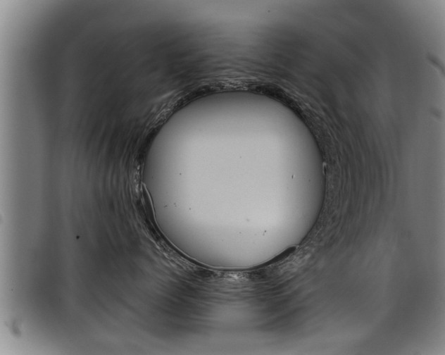 X0000098110768200804040801