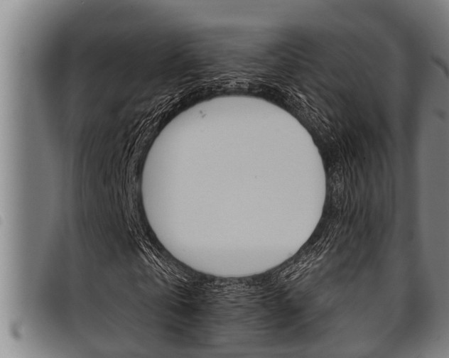 X0000098110769200804040800