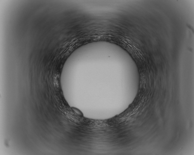 X0000098110770200804040800