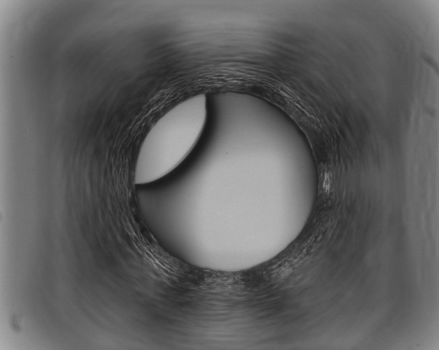 X0000098110771200804040800