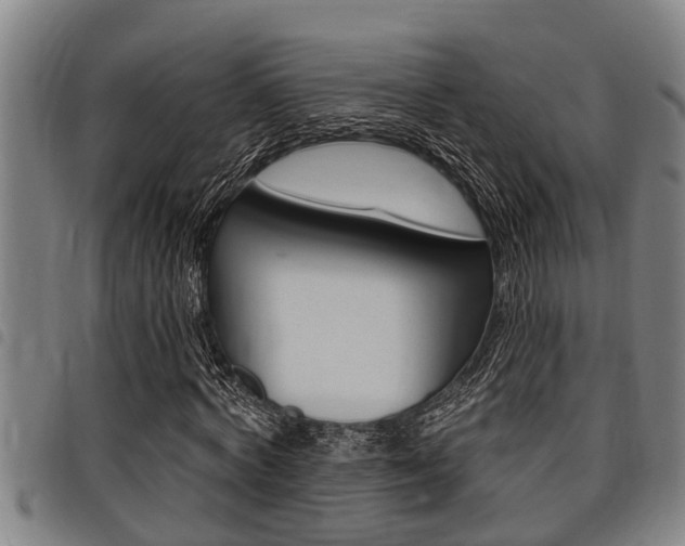 X0000098110772200804040800