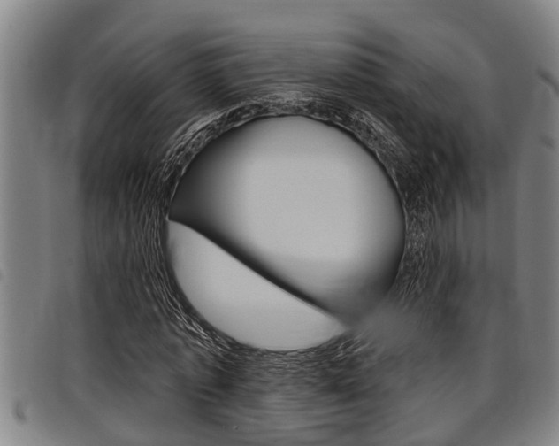 X0000098110773200804040800