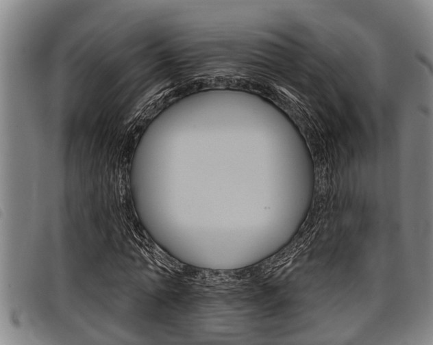X0000098110774200804040800