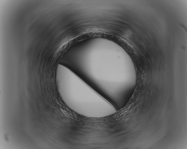 X0000098110775200804040800