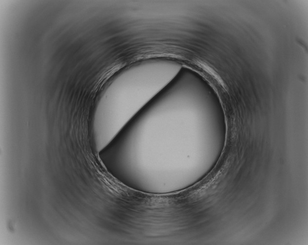 X0000098110777200804040800