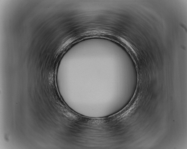 X0000098110778200804040800