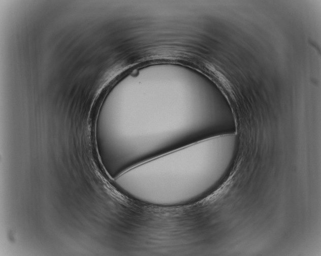 X0000098110779200804040800