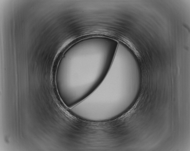 X0000098110780200804040800