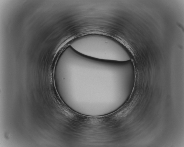 X0000098110782200804040800