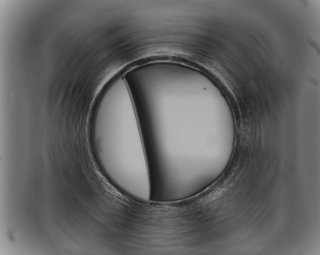 X0000098110783200804040800