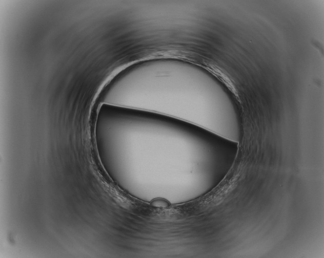 X0000098110784200804040800