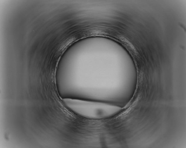 X0000098110785200804040800