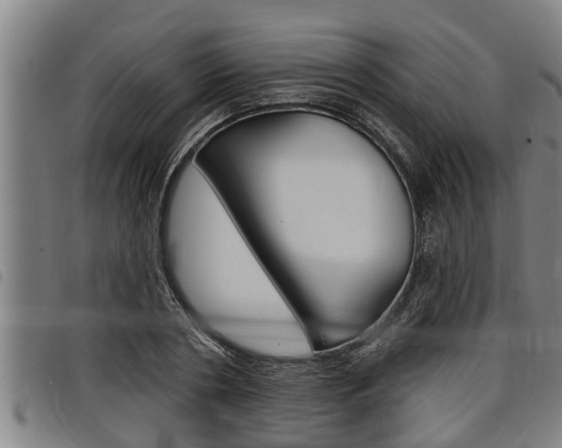 X0000098110786200804040800