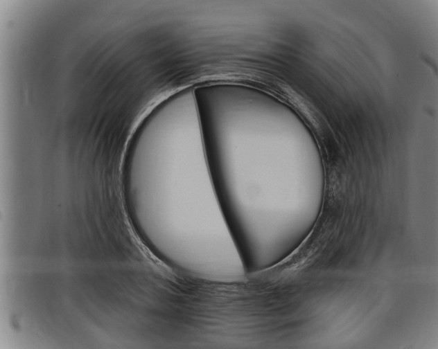 X0000098110787200804040800
