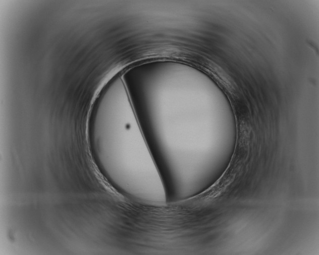 X0000098110788200804040800