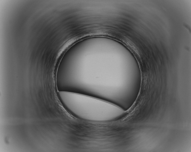 X0000098110789200804040800